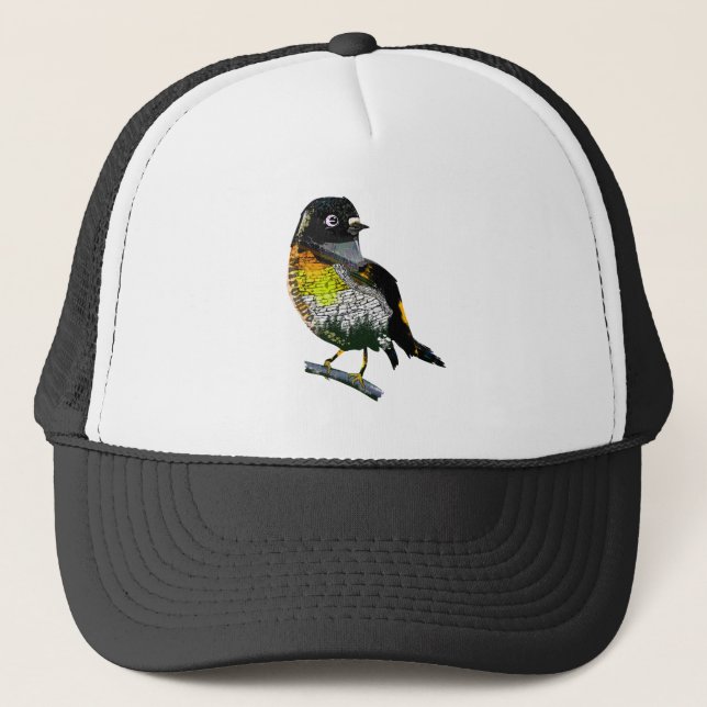Gorra De Camionero Tomtit Miromiro (Anverso)
