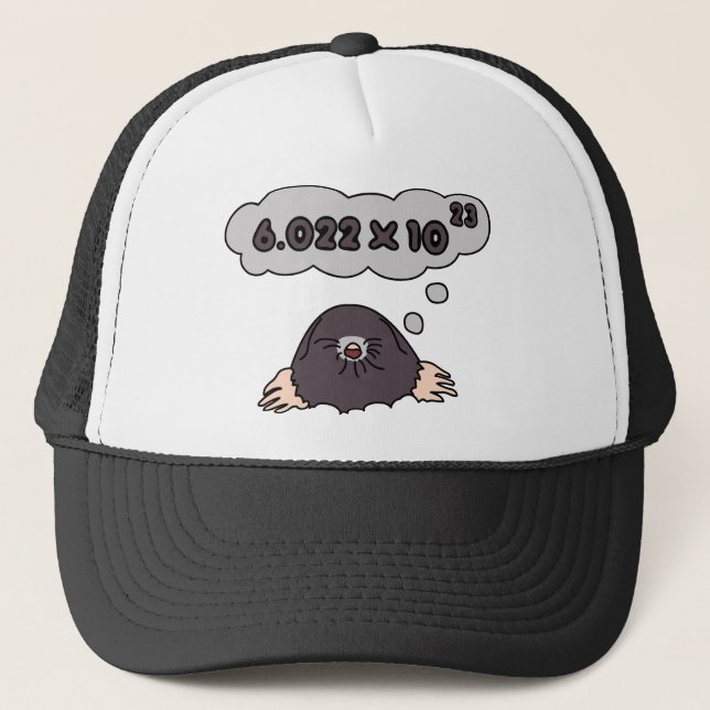 Gorra De Camionero Topo (Anverso)