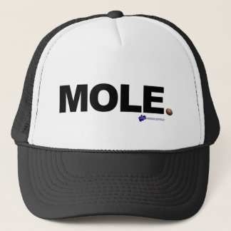 GORRA DE CAMIONERO TOPO