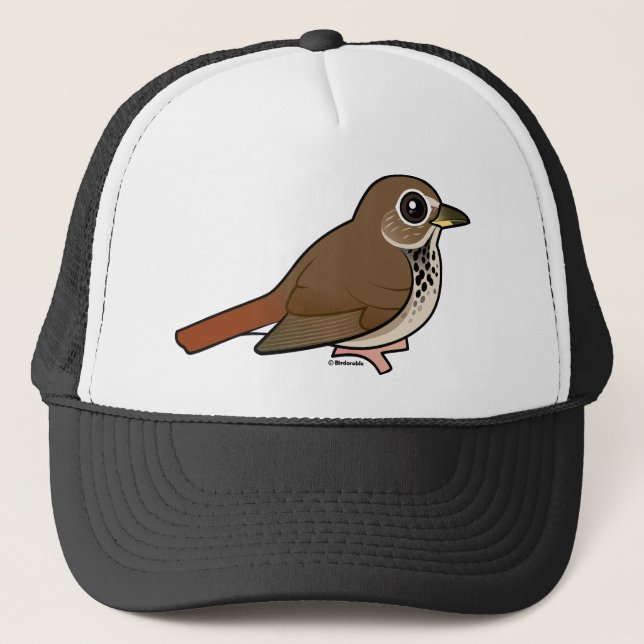 Gorra De Camionero Tordo de ermitaño del dibujo animado (Anverso)
