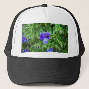 Gorra De Camionero Torenia