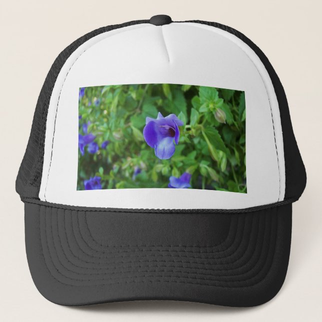 Gorra De Camionero Torenia (Anverso)
