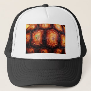 Gorra De Camionero Tortoisse