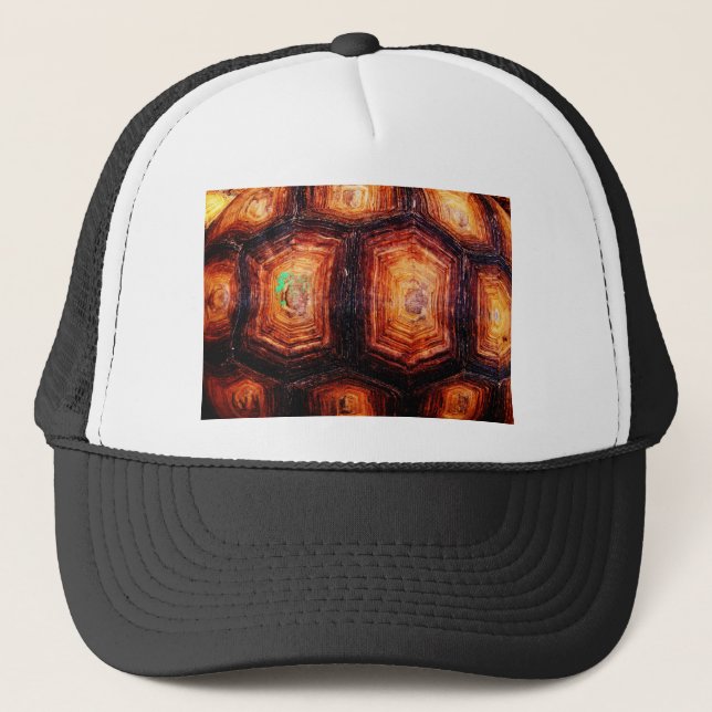 Gorra De Camionero Tortoisse (Anverso)