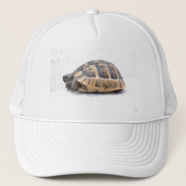 Gorra De Camionero Tortuga (Anverso)