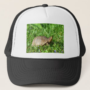 Gorra De Camionero Tortuga de caja