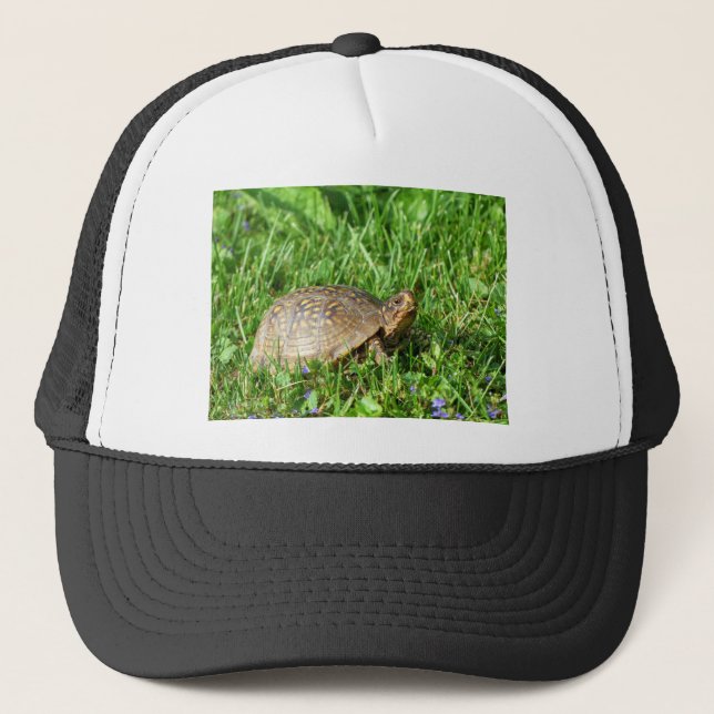 Gorra De Camionero Tortuga de caja (Anverso)