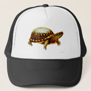 Gorra De Camionero Tortuga de caja del este