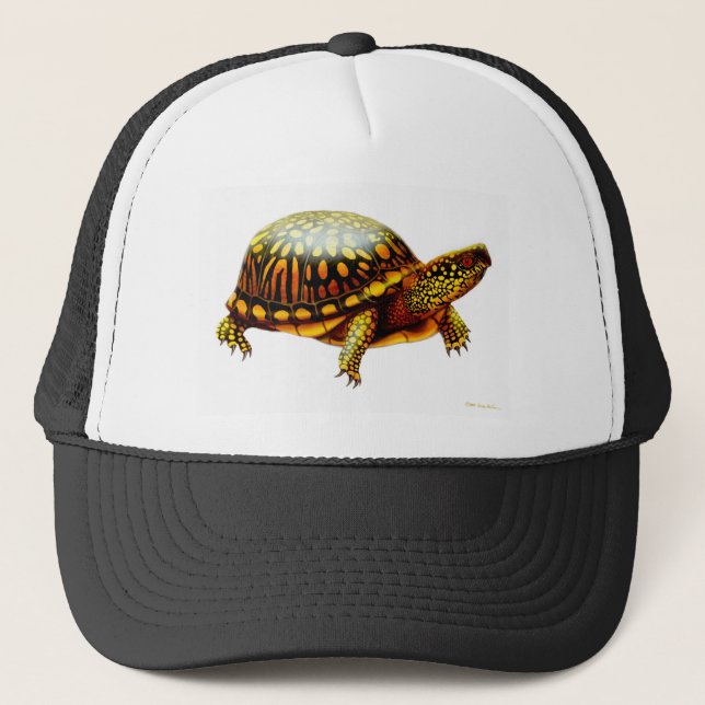 Gorra De Camionero Tortuga de caja del este (Anverso)