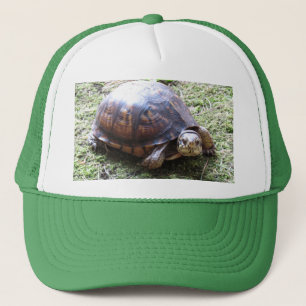 Gorra De Camionero Tortuga de caja - Sendero de mossy