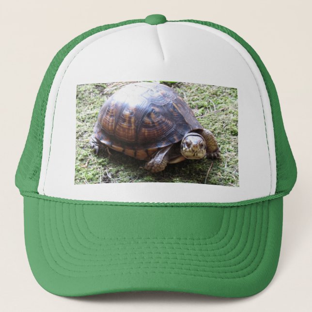 Gorra De Camionero Tortuga de caja - Sendero de mossy (Anverso)