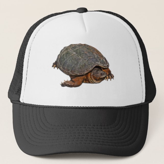 Gorra De Camionero Tortuga encantadora de Terrapin (Anverso)