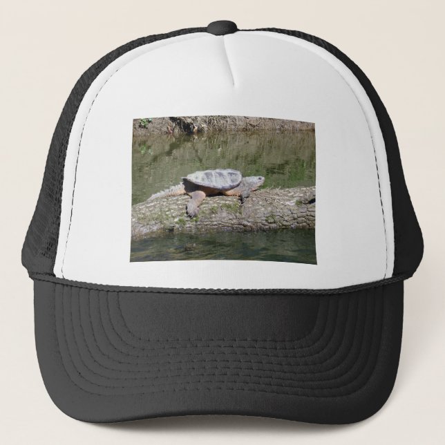 Gorra De Camionero Tortuga Snapping (Anverso)