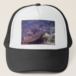 Gorra De Camionero Tortugas verdes de Hawái