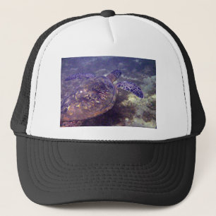 Gorra De Camionero Tortugas verdes de Hawái