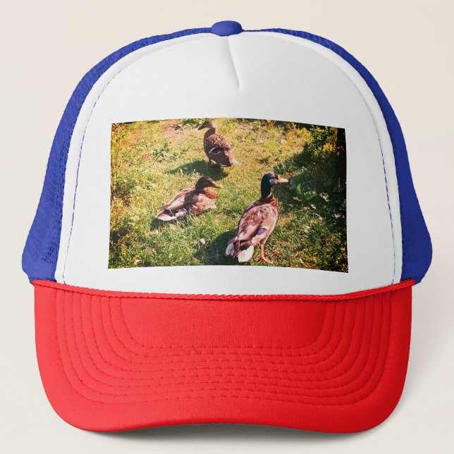 Gorra De Camionero Tres patos (Anverso)