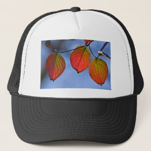 Gorra De Camionero Trío de hojas de otoño iluminadas coloridas
