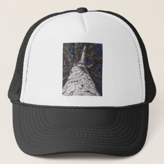 Gorra De Camionero Tronco de árbol