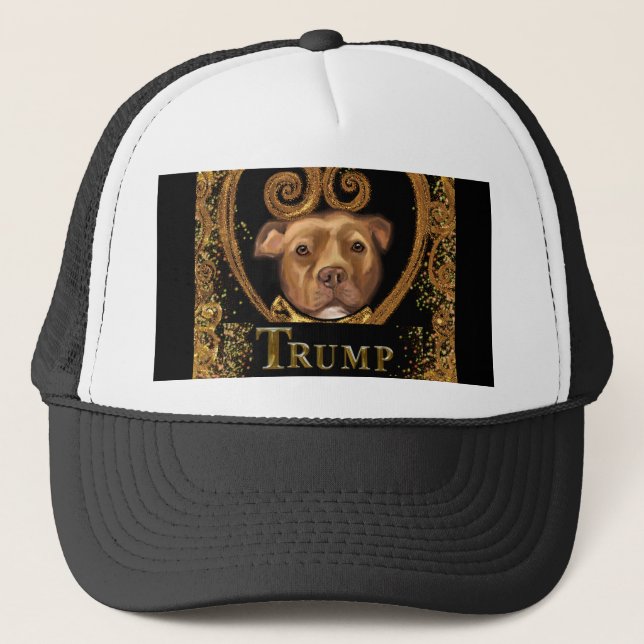 GORRA DE CAMIONERO TRUMP 2024 (Anverso)