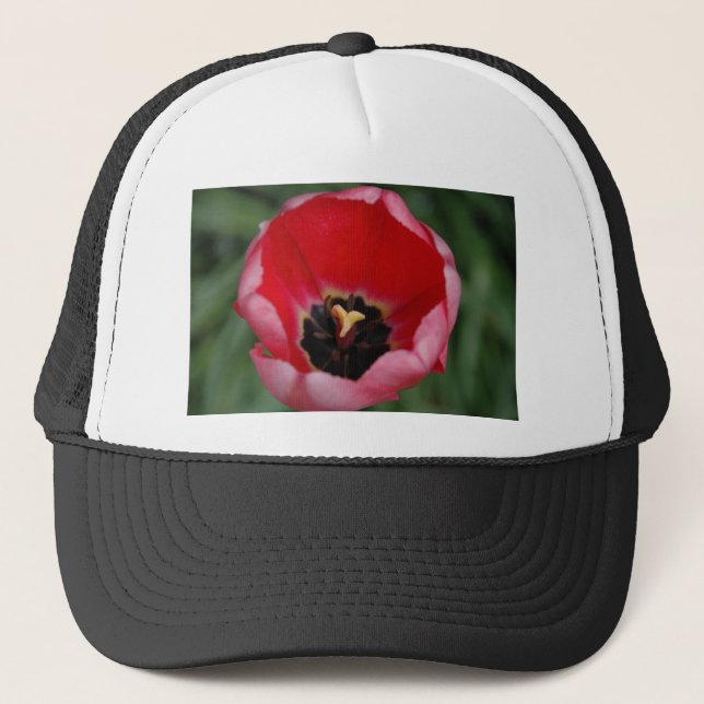 Gorra De Camionero Tulip (Anverso)