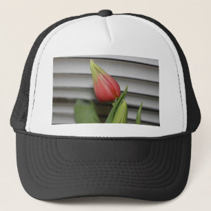 Gorra De Camionero Tulip en ciernes