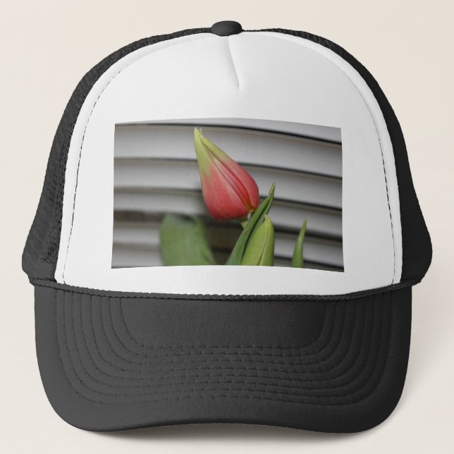 Gorra De Camionero Tulip en ciernes (Anverso)