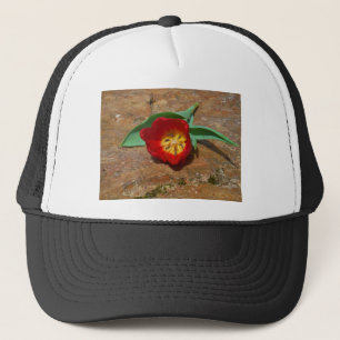 Gorra De Camionero Tulip rojo primavera