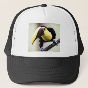 Gorra De Camionero Turco de Costa Rica