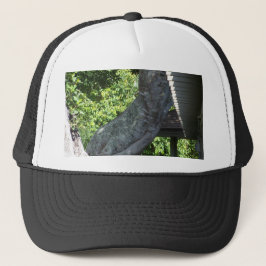 Gorra De Camionero twisted tree trunk