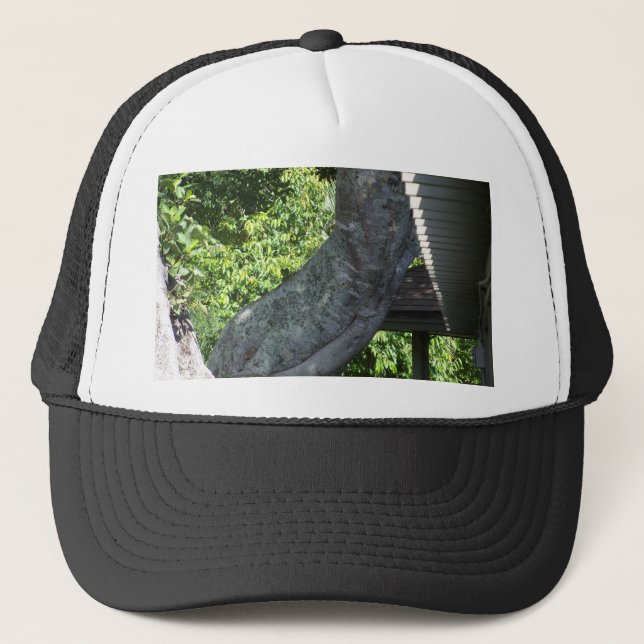 Gorra De Camionero twisted tree trunk (Anverso)