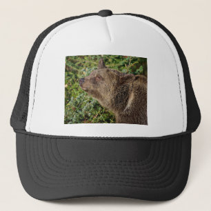 Gorra De Camionero Un oso grizzly sonriente