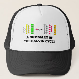 Gorra De Camionero Un resumen del ciclo de Calvin (fotosíntesis)