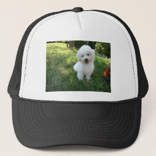 Gorra De Camionero un westie lindo - terrier de West Highland - en un