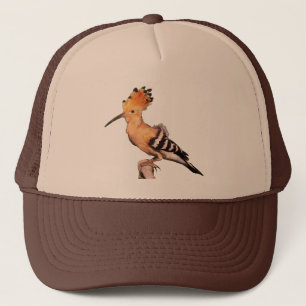 Gorra De Camionero Upupa epops epops