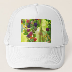 Gorra De Camionero Uvas de muchos colores