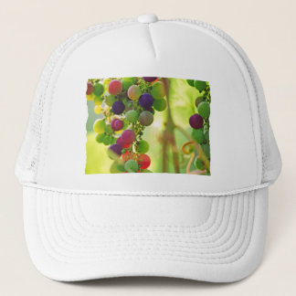 Gorra De Camionero Uvas de muchos colores