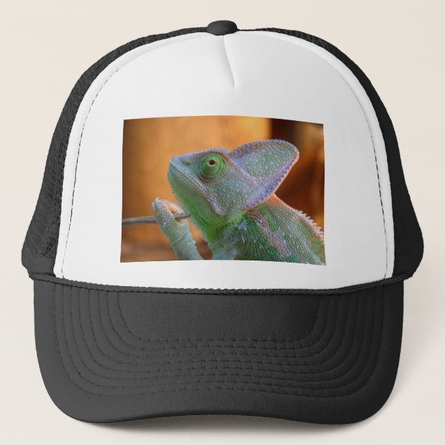 Gorra De Camionero Velado Chameleon (Anverso)
