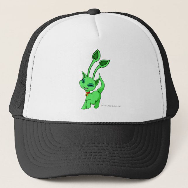 Gorra De Camionero Verde de Aisha (Anverso)