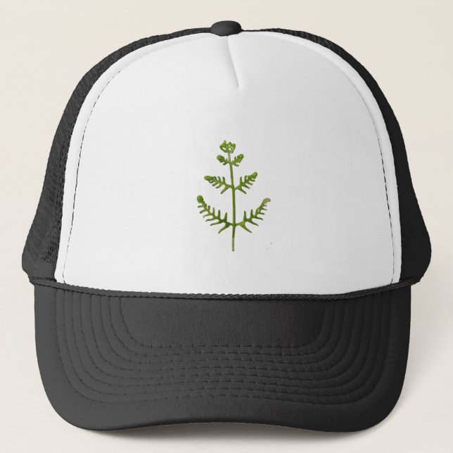 Gorra De Camionero verde primavera (Anverso)