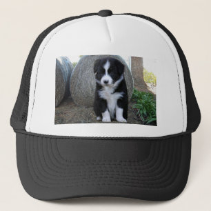 Gorra De Camionero Vida de la granja de cachorros de collie de borde,