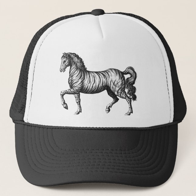 Gorra De Camionero Vintage Zebra (Anverso)