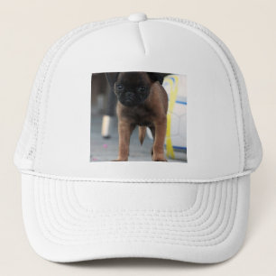 Gorra De Camionero vista frontal de bruselas griffon