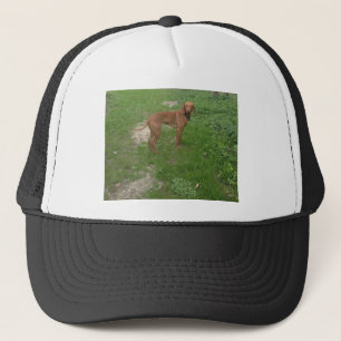 Gorra De Camionero vizsla llena