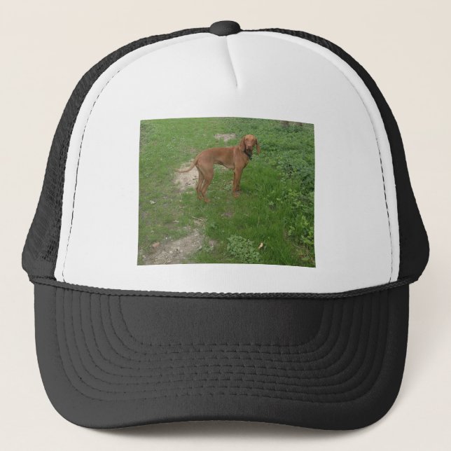 Gorra De Camionero vizsla llena (Anverso)