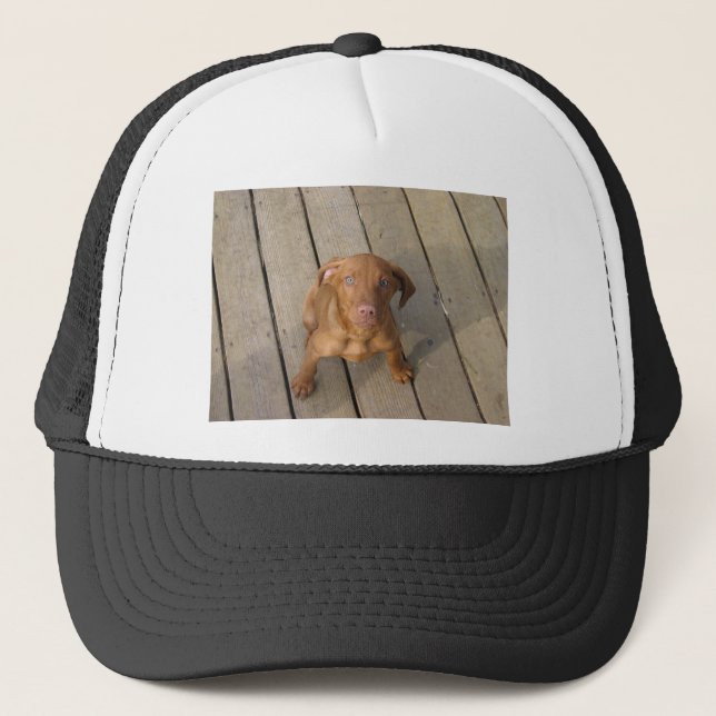 Gorra De Camionero vizsla puppy (Anverso)
