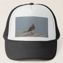 Gorra De Camionero Vuelvepiedras