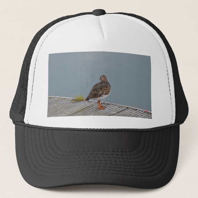 Gorra De Camionero Vuelvepiedras (Anverso)
