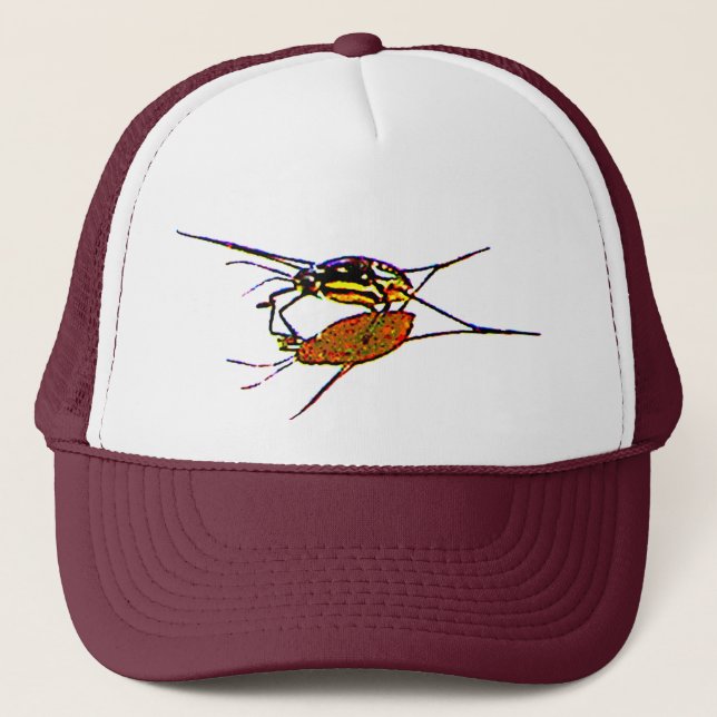 Gorra De Camionero Water Strider ve su sombra (Anverso)