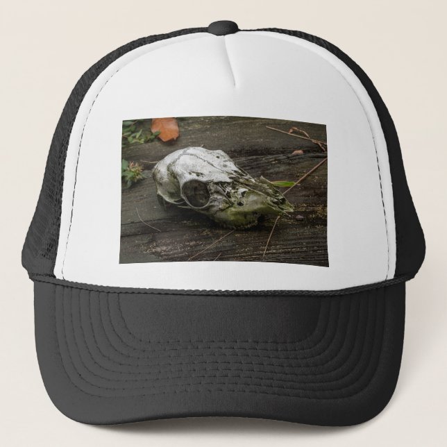 Gorra De Camionero Whitetail Deer Skull (Anverso)