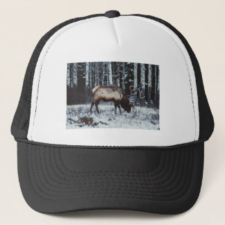 Gorra De Camionero Winter Majesty: Elk in Snow Trucker Cap